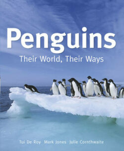 Penguins