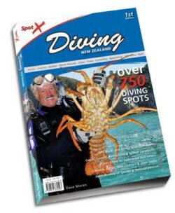 Spot X Diving New Zealand