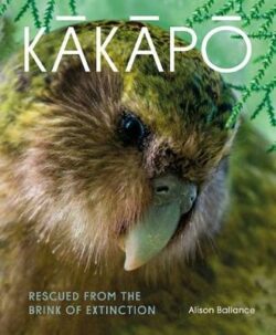 Kakapo: Rescued from the brink of extinction