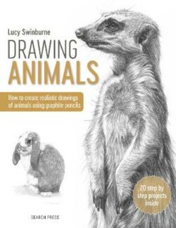 Drawing Animals