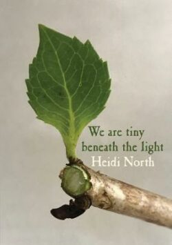 We are tiny beneath the light