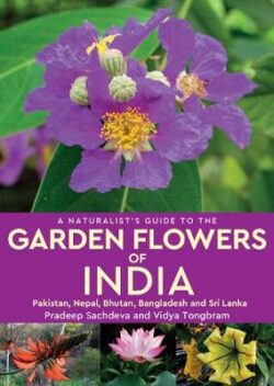 Naturalist's Guide to the Garden Flowers of India