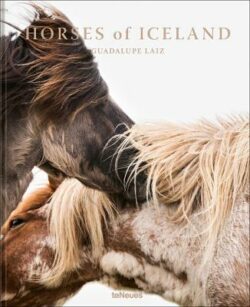 Horses of Iceland