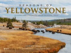 Seasons of Yellowstone