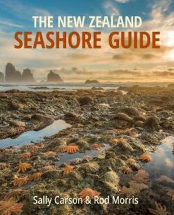 New Zealand Seashore Guide The