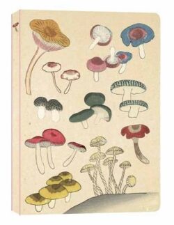 Healing Mushrooms Paperback Journal: Lined