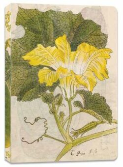 Japanese Squash Blossom Lined Paperback Journal