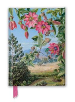 Kew Gardens&apos; Marianne North: View in the Brisbane Botanic Garden (Foiled Journal)