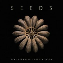 Seeds