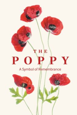 Poppy