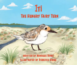 Iti The Hungry Fairy Tern