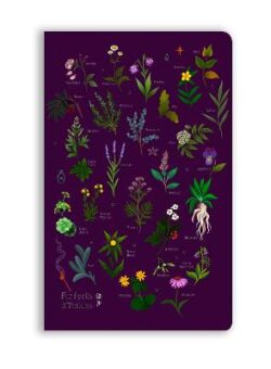 Anna Stead For Spells & Potions Soft Touch Lined Notebook