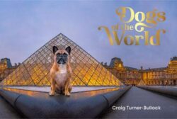 Dogs of the World