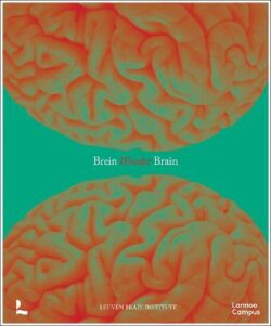 Wonder Brain