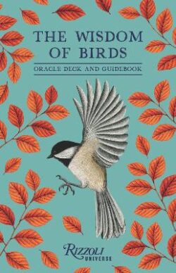 Wisdom of Birds