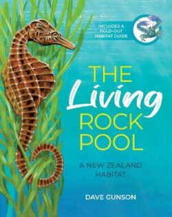 Living Rock Pool [PREORDER]