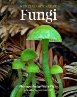 NZ Native Fungi Calendar 2027