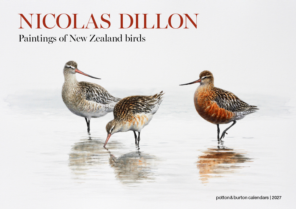 Nicolas Dillon Paintings Of NZ Birds Calendar 2027