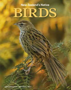 NZ  Native Birds Calendar 2027