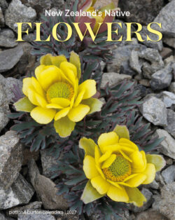 NZ Native Flowers Calendar 2027