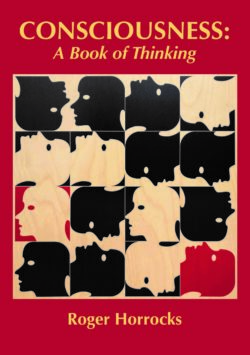 Consciousness  A Book Of Thinking 